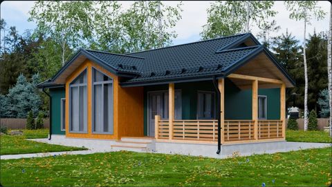 Конструктор: каркасный дом, зелёный мох